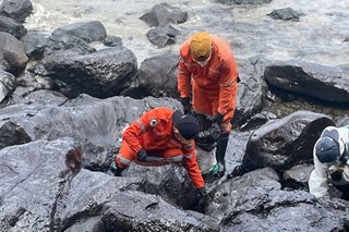 DOJ iimbestigahan kung sino ang dapat managot sa Mindoro oil spill