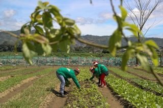 Congress OKs bill condoning agrarian reform beneficiaries' debts