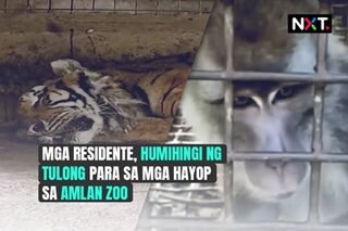 Mga residente, humihingi ng tulong para sa Amlan Zoo 