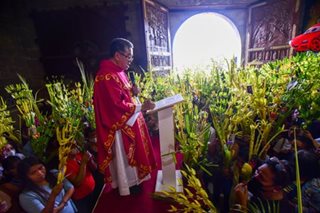Linggo ng Palaspas ginunita sa mga simbahan