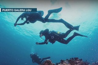 Tourism chief goes scuba diving to show Puerto Galera untouched by oil spill