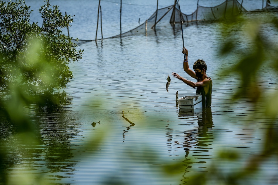 learn-impact-of-el-nino-on-fisheries-filipino-news