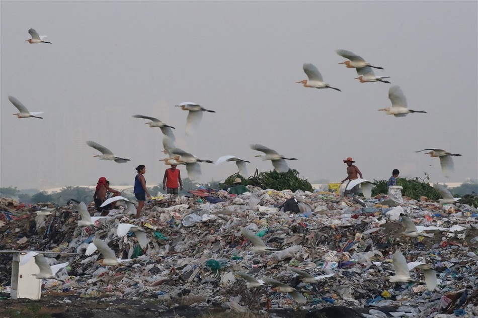 A flock of egrets searches for food at a garbage dump site on the eve of Earth Day in Angono on April 21, 2023. Earth Day is celebrated worldwide annually on April 22. Francis R. Malasig, EPA-EFE
