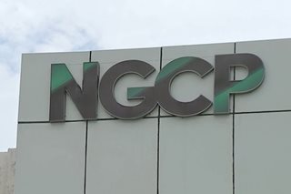 Senators raise country's interests in NGCP probe