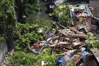 Relocation dahil sa natumbang puno sa Estero de Magdalena, ihahanda