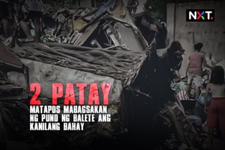 2 patay matapos mabagsakan ng puno ng balete ang kanilang bahay