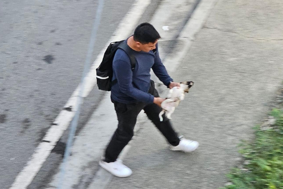 A concerned citizen picks up the injured puppy to check on its condition. Janine Santos/Facebook