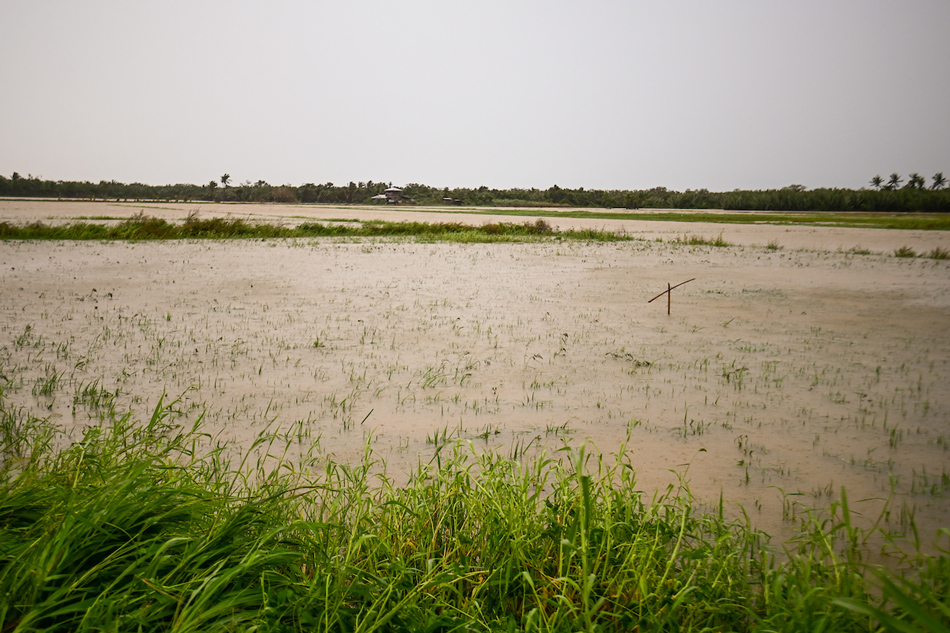 Hectares of farmland are flooded amid heavy rainfall brought by Typhoon Egay in Santa Teresita, Cagayan on July 26, 2023. Maria Tan, ABS-CBN News/file