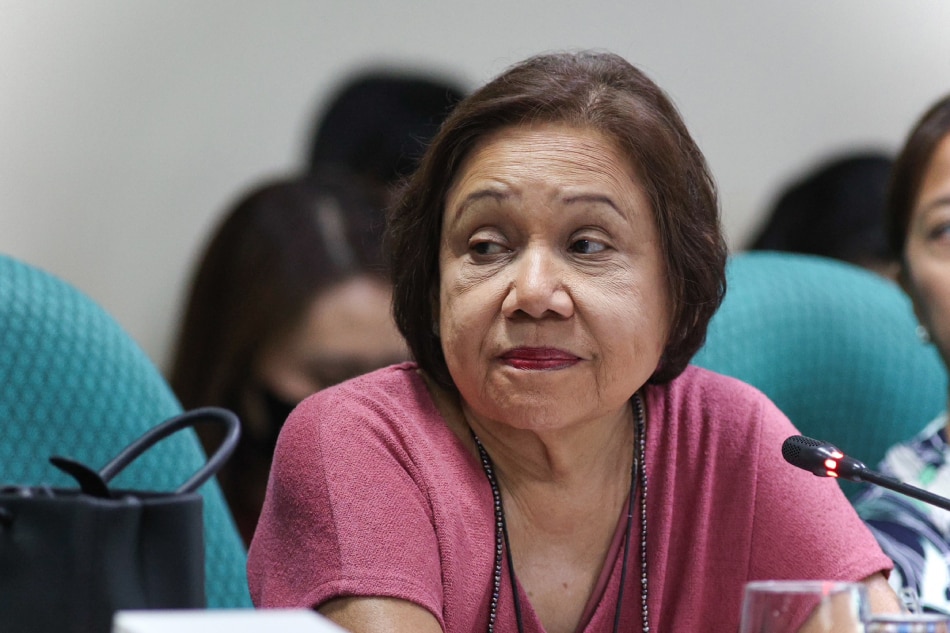 Villar willing to campaign to stop reclamation projects | ABS-CBN News