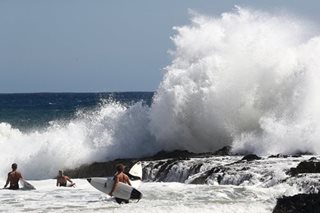 Australian fined for surfing with python