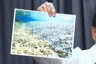 China should pay billions for reef destruction: Hontiveros
