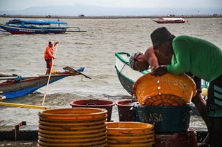 'Walang fishing ban': Marcos clarifies order to address overfishing