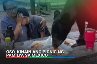 Oso, kinain ang picnic ng pamilya sa Mexico