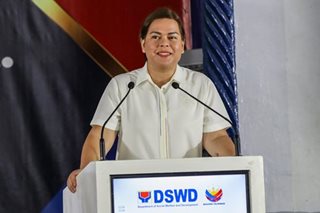 Lawmaker guarantees reallocation of OVP, DepEd confidential funds 