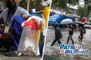 ALAMIN: Paano maiiwasan ang leptospirosis?