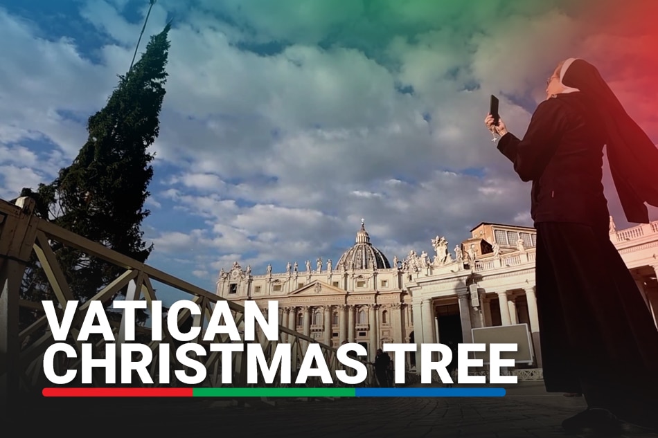 Vatican's giant Christmas tree installed in St. Peter's Square ABS