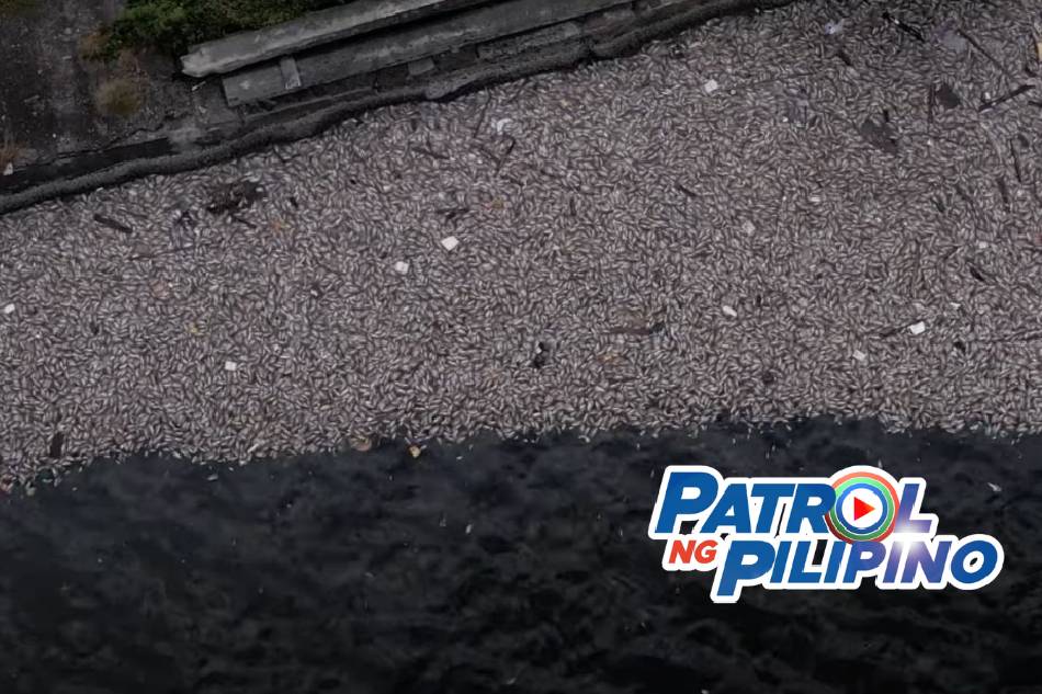 Patrol ng Pilipino: Bakit nagkakaroon ng fishkill?