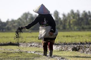 Reducing nitrogen use key to human and planetary health: study