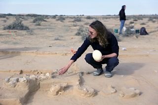 Ancient ostrich eggs found in southern Israeli desert