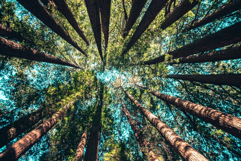 Photo by Casey Horner on Unsplash