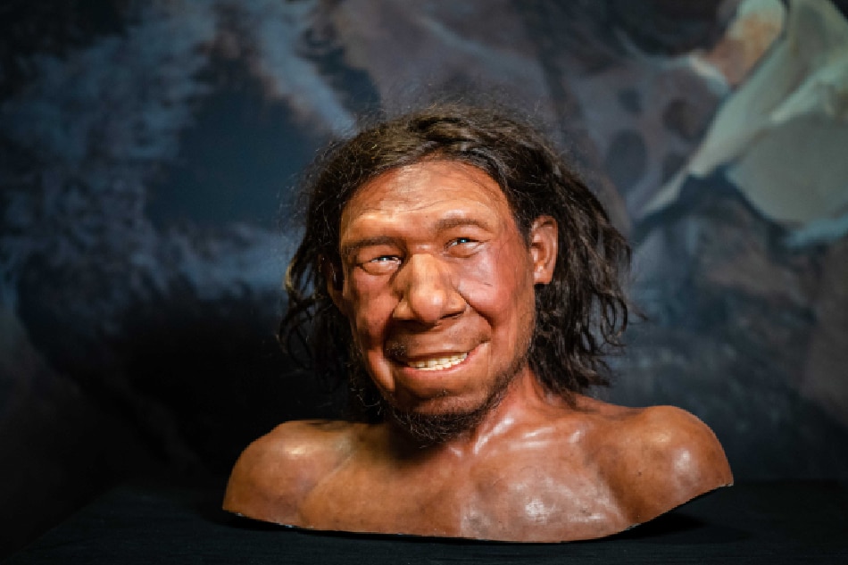 A reconstruction of the first Neanderthal in the Netherlands, nicknamed Krijn, is on display in the National Museum of Antiquities in Leiden, The Netherlands, 06 September 2021. Krijn's face has been worked on for years by the brothers Adrie and Alfons Kennis. EPA-EFE/Bart Maat