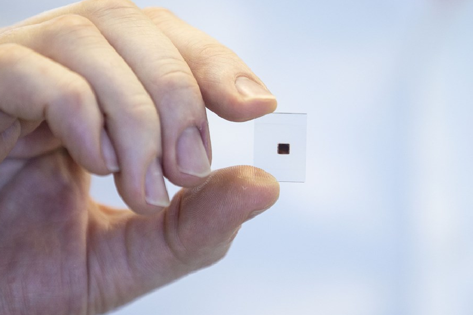 A chip is displayed in the laboratory of Spektrax, a company working on a new testing method, which uses a scanner and a chip to determine within a short time whether someone has the coronavirus, in Delft, the Netherlands, 12 May 2020 (issued 13 May 2020). EPA-EFE/PIETER STAM DE JONGE/FILE