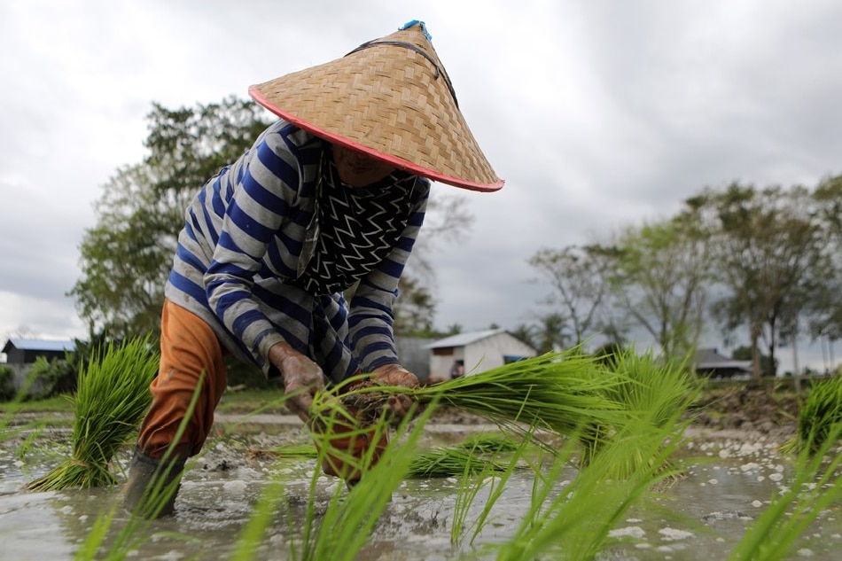 Indonesian farmers fight for their land in nickel mining boom | ABS-CBN ...