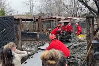 WATCH: California firefighters pluck cows from mud