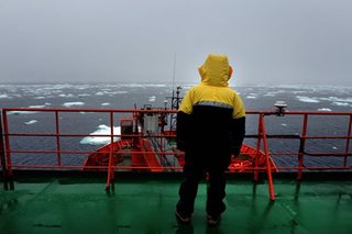 Antarctic ocean currents headed for collapse: study