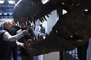 T. rex skeleton fetches more than $6 million at auction	