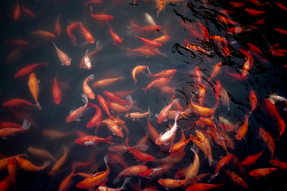 Photo by Jeremy Cai on Unsplash