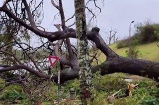 ‘Mawar’ leaves trail of destruction in Guam