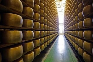 Italian man crushed to death by falling cheese wheels