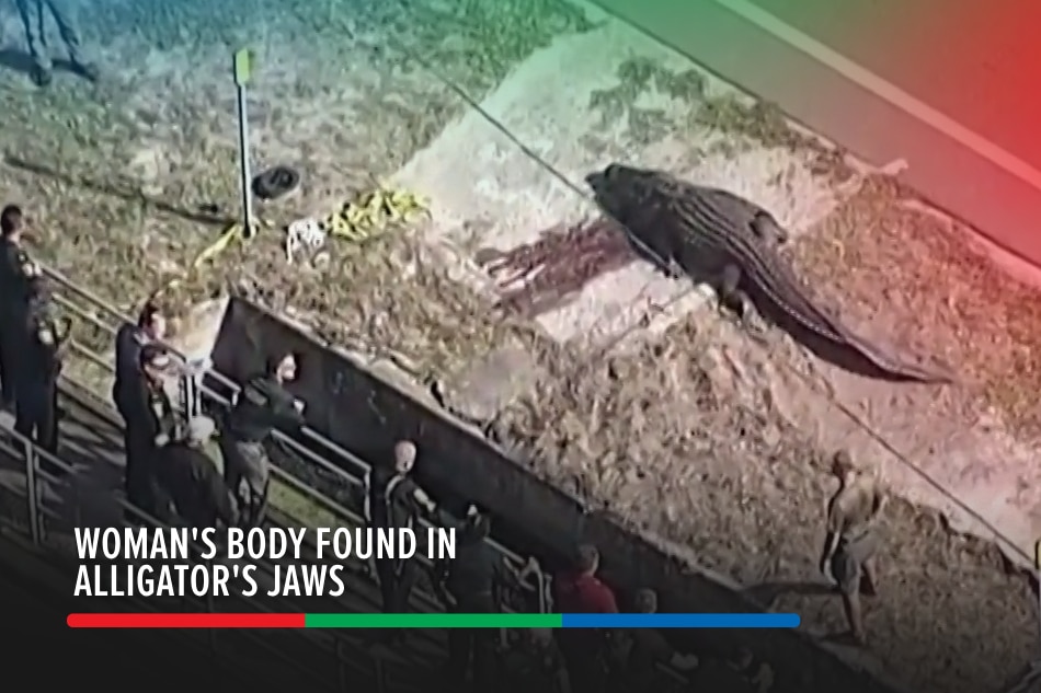 Womans Body Found In Florida Alligators Jaws Abs Cbn News