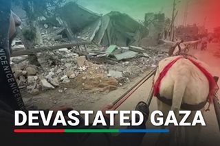 Donkey tour in devastated Gaza