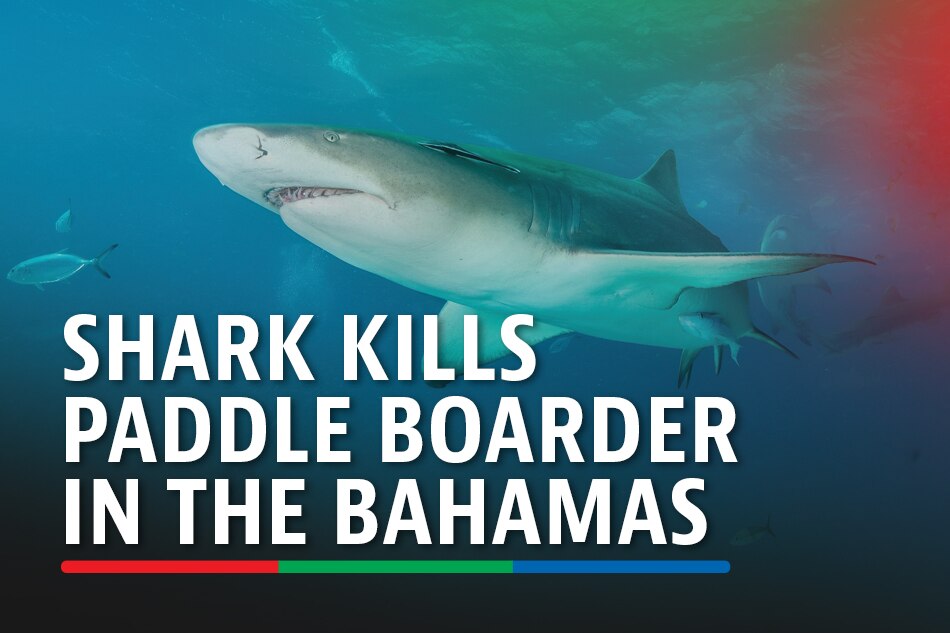 Shark kills paddle boarder in The Bahamas