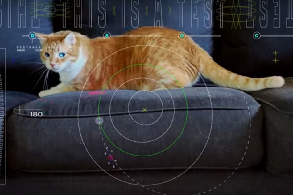 Nasa Sends Cat Video From Deep Space Abs Cbn News