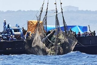 Japan retrieves missing helicopter