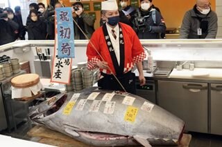 Tuna for 15 million pesos