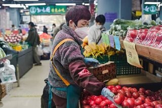 China sees modest inflation in December