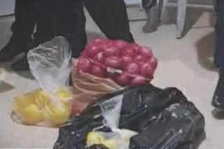 Flight crew iniimbestigahan dahil sa di deklaradong gulay, prutas