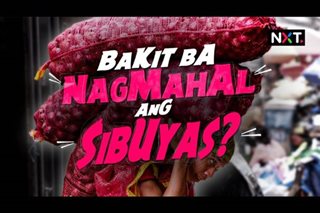 Bakit nga ba nagmahal ang sibuyas?