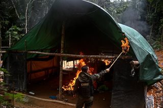 Saving the Amazon forest