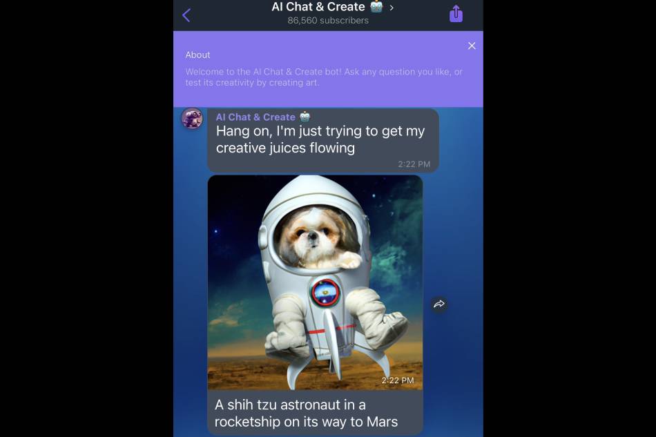 Here's what the chatbot made when asked to create a 'Shih Tzu astronaut on its way to Mars.' Screenshot