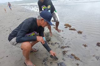 DOH issues guidance on Mindoro oil spill