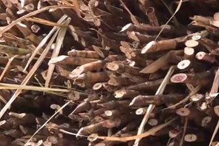 Pinakamalaking gilingan sa Batangas nagsara