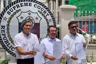 SC petition vs Maharlika may affect biz confidence: ex-envoy 