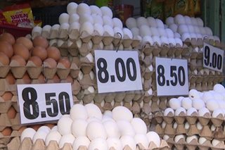 Presyo ng itlog sa ilang palengke tumaas
