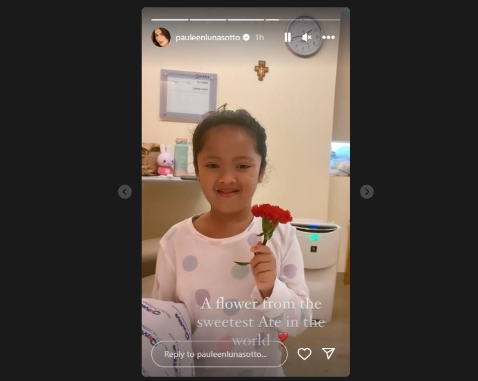 Screen grab: Instagram/@pauleenlunasotto