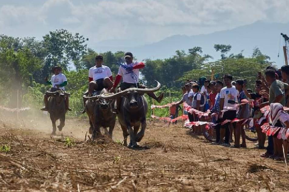 In this photo from the Tuguegarao City Information Office, residents participate in a carabao race during the Pavvurulun Afi Festival on August 10, 2023. Tuguegarao City Information Office Facebook page.